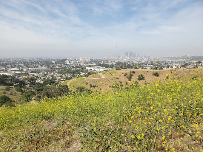 Ascot Hills Park: A Hidden Gem in the Heart of Los Angeles