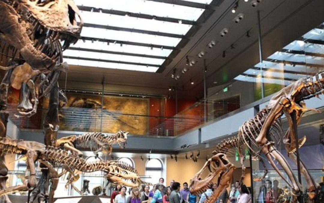 Journey Through Time: The Natural History Museum of Los Angeles County