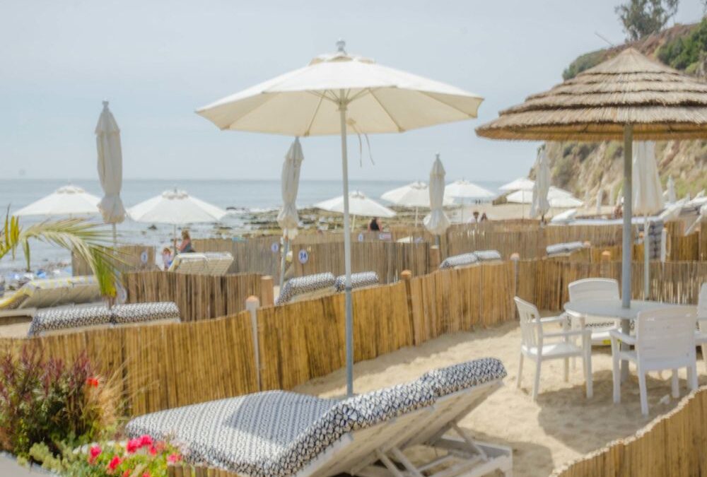 Discovering Culinary Delights: A Visit to Paradise Cove Beach Café in Malibu, CA